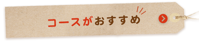 コースがおすすめ